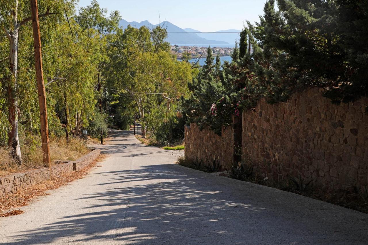 Eucalyptus Villa Aegina 外观 照片